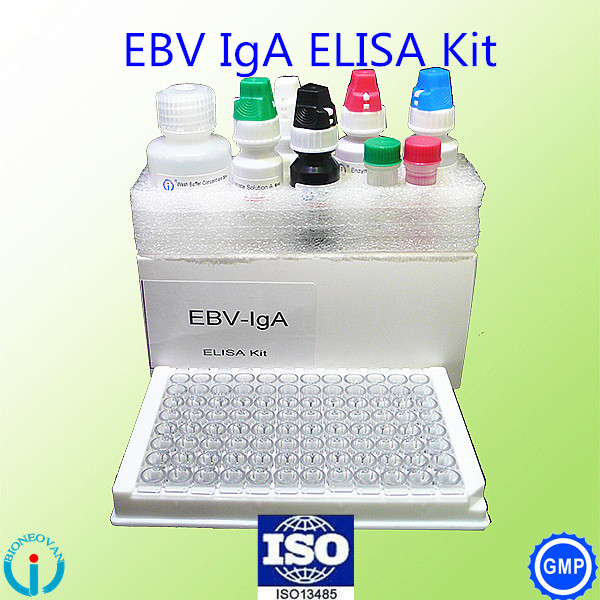 Bioneovan EBV Elisa kit